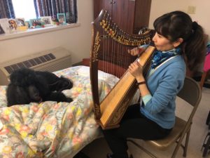 A woman plays a harp next to a bed with a black dog lying on it.