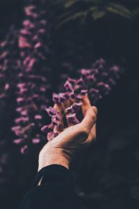 holding flowers