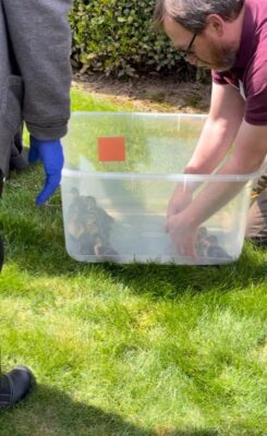 6b07ef69-2b08-4c10-9e9f-d76286fc94b9