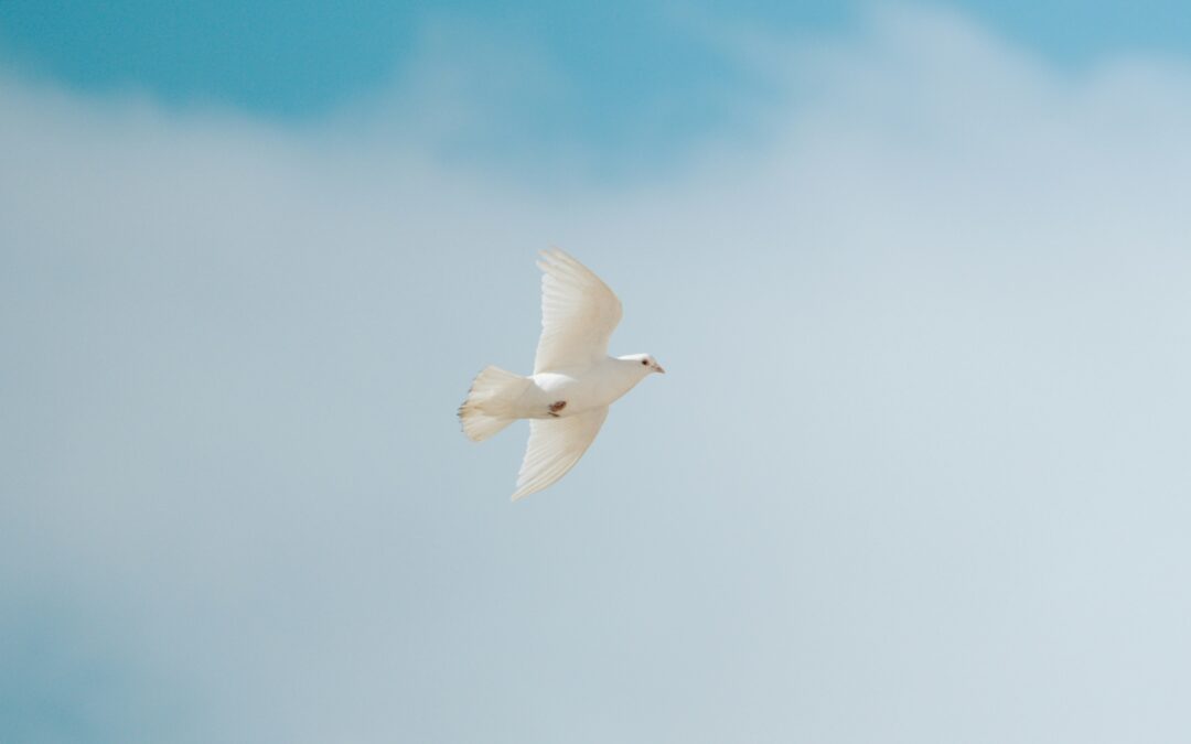 “Sacred Transitions” volunteers: Present at the end-of-life