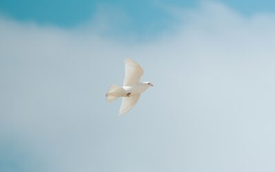 “Sacred Transitions” volunteers: Present at the end-of-life
